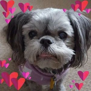 Meet your Posher, Julie